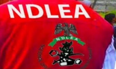 NDLEA Arrests Lagos Real Estate Mogul Over Alleged International Drug Links