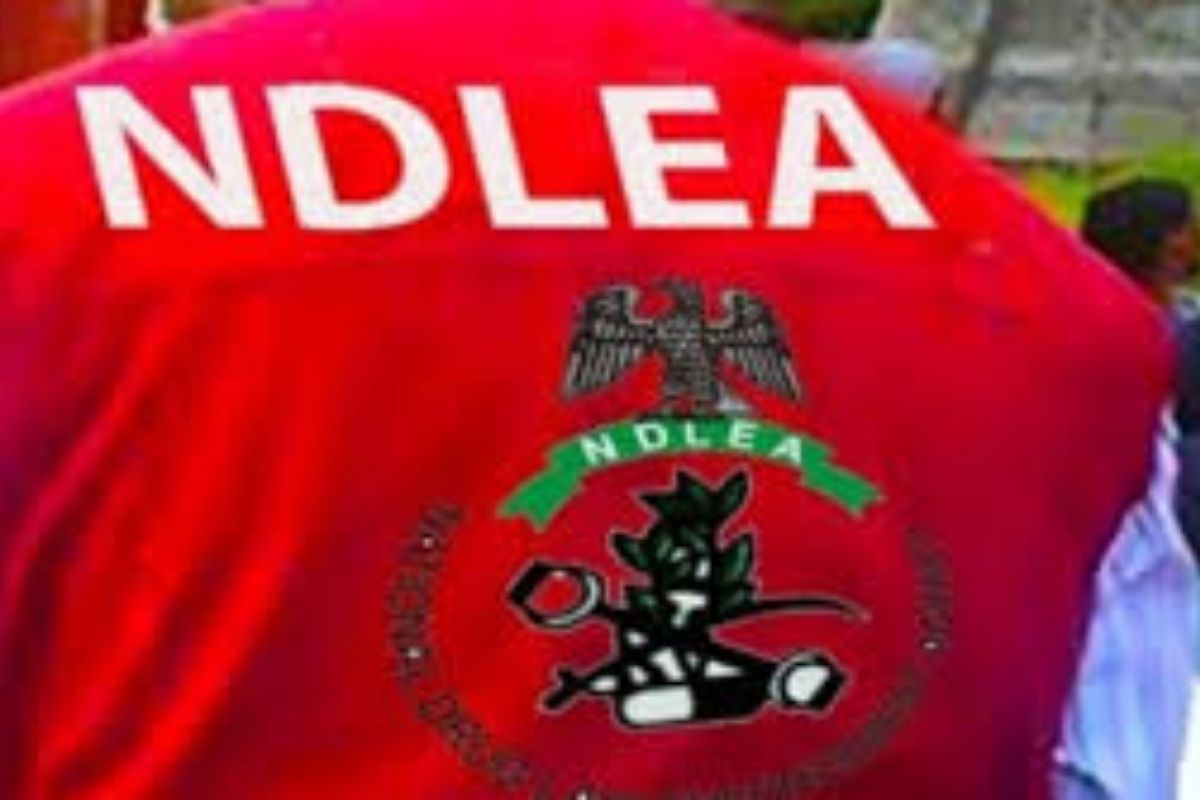 NDLEA Arrests Lagos Real Estate Mogul Over Alleged International Drug Links
