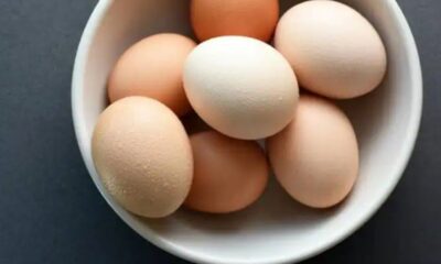 eggs in the refrigerator