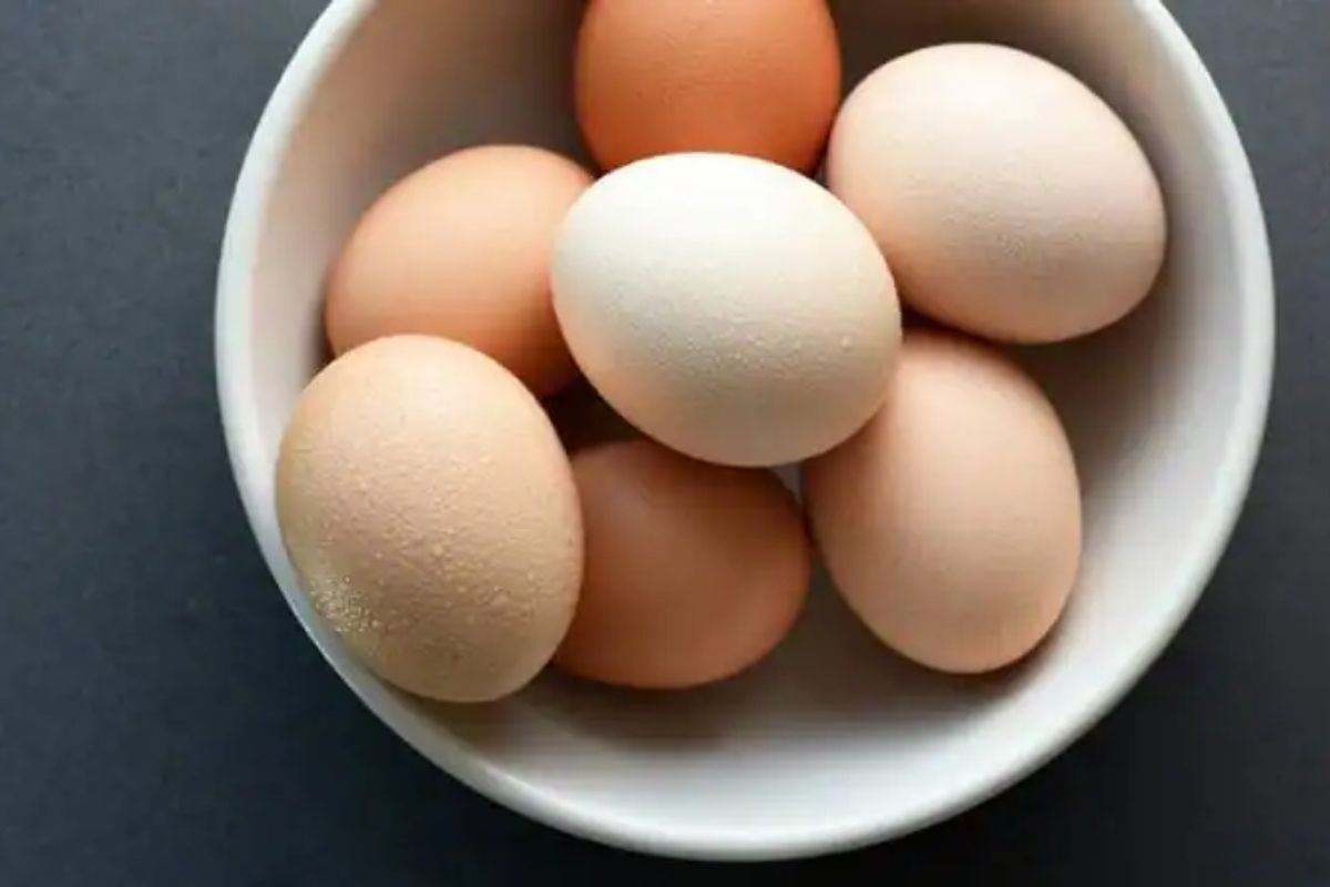 eggs in the refrigerator