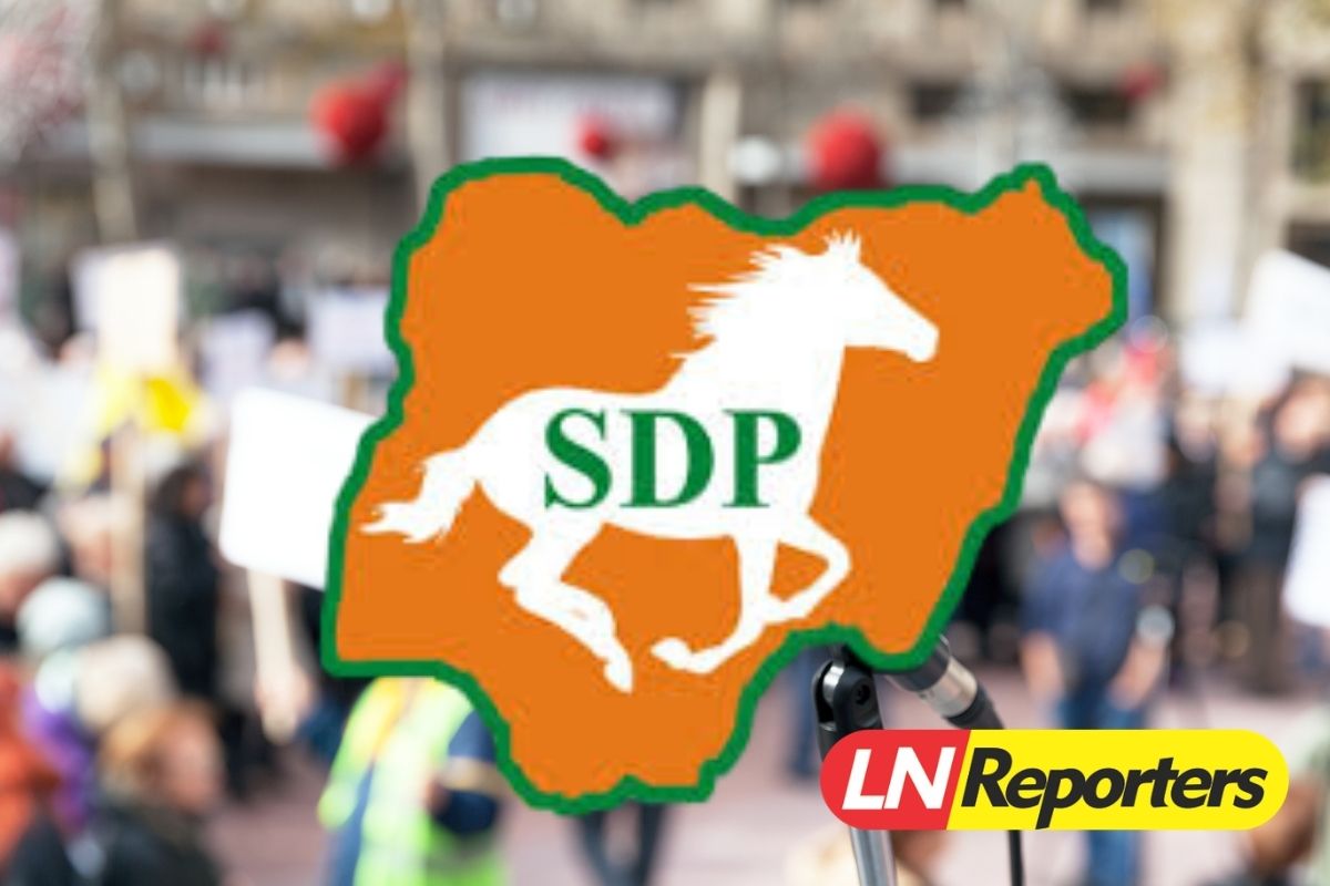 SDP