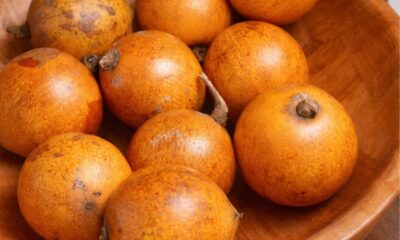 The Surprising Health Benefits of Agbalumo You Should Know