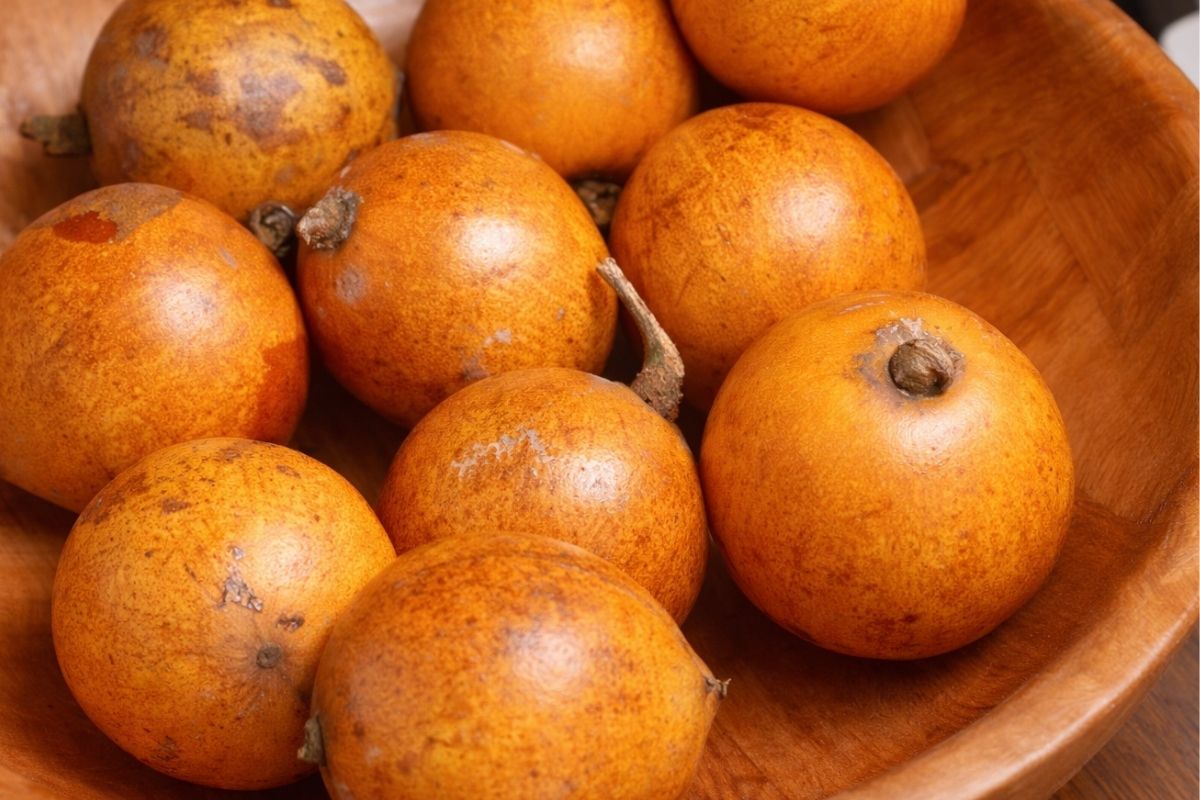 The Surprising Health Benefits of Agbalumo You Should Know