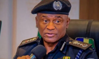 State Police Push Gains Traction As IGP Disu Submits 75-Page Framework To Senate